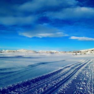 12583723_10201481545357295_1155913811_n